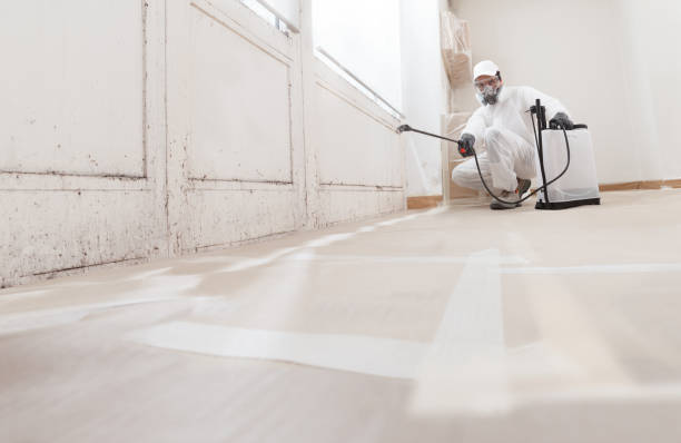 24/7 Emergency Mold Remediation experts in Springfield, GA